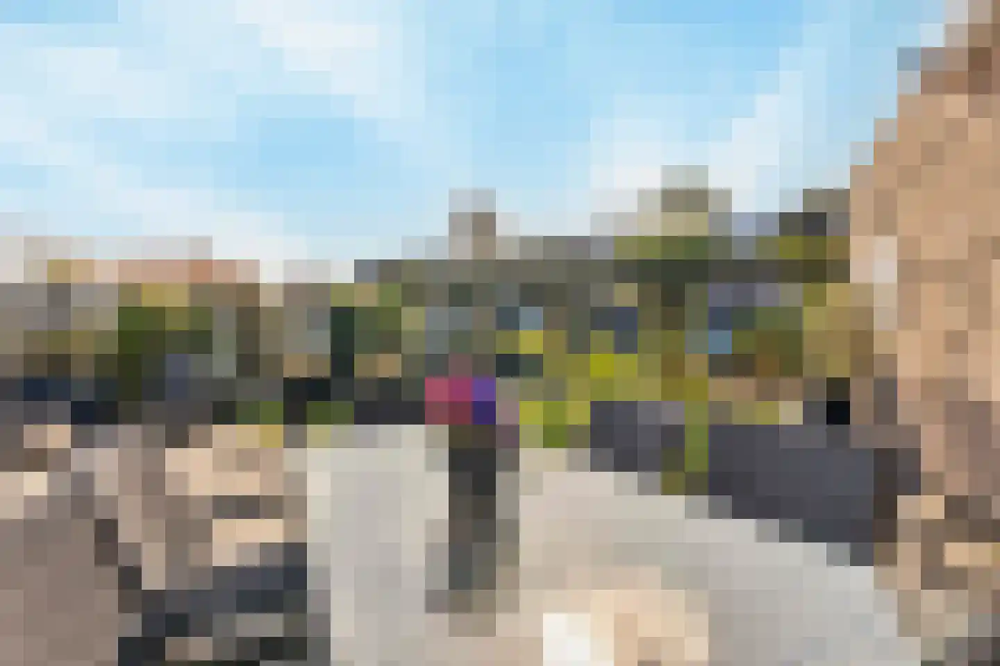 Kruidenlaan 124 Venray thumbnail 12