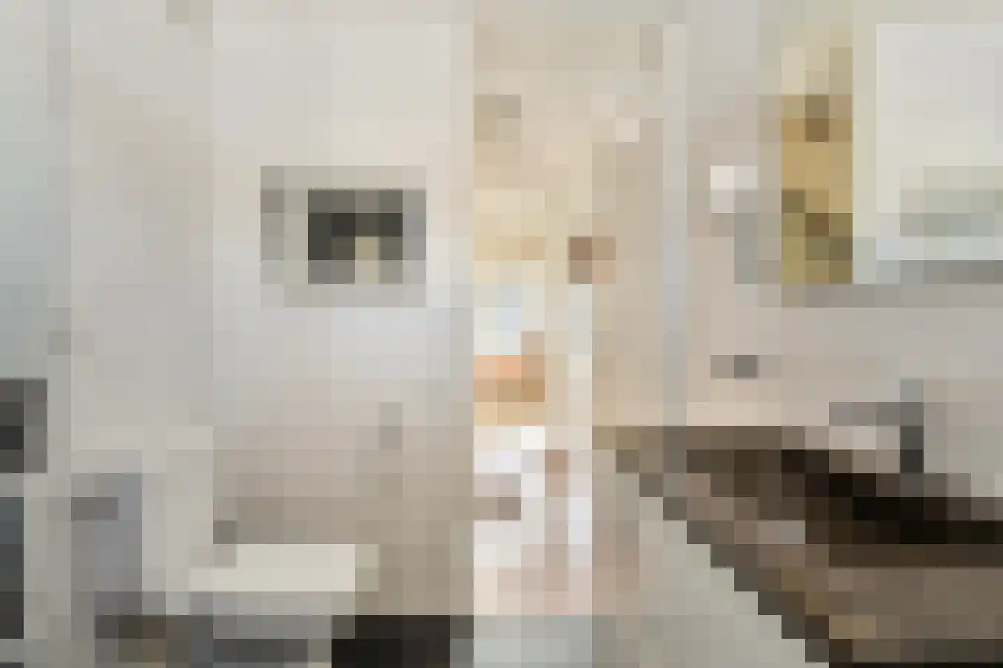 Kruidenlaan 124 Venray thumbnail 25