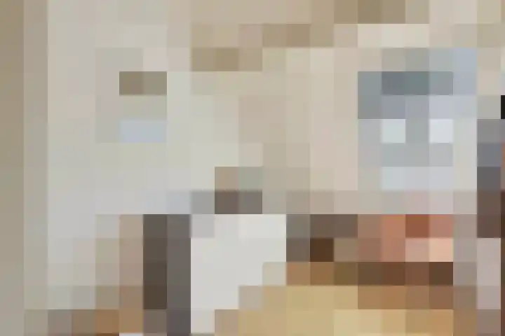 Kruidenlaan 124 Venray thumbnail 26