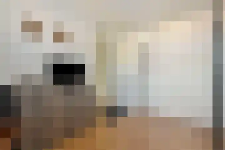 Kruidenlaan 124 Venray thumbnail 29
