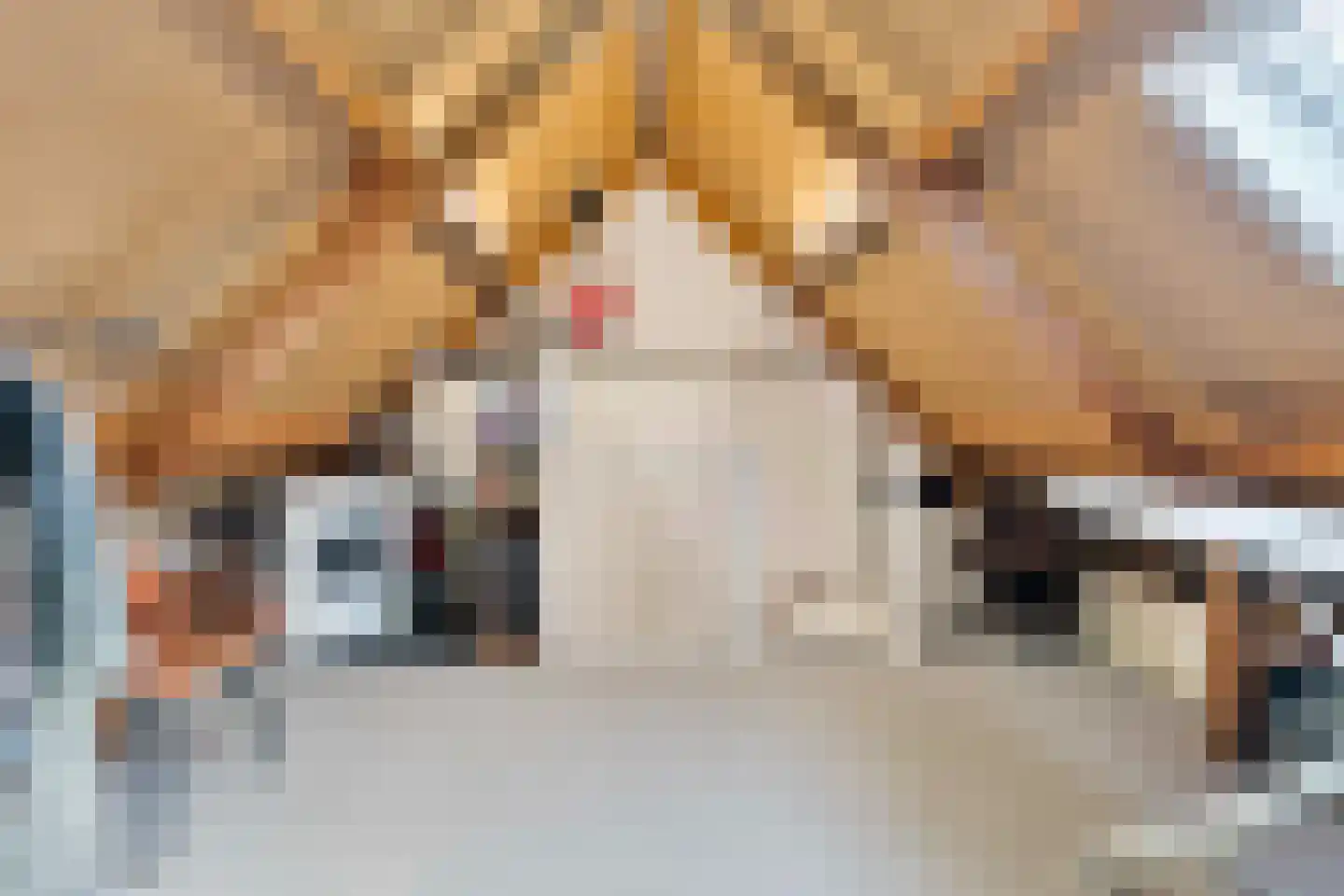 Kruidenlaan 124 Venray thumbnail 31