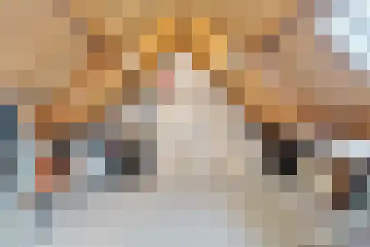 Kruidenlaan 124 Venray thumbnail 31