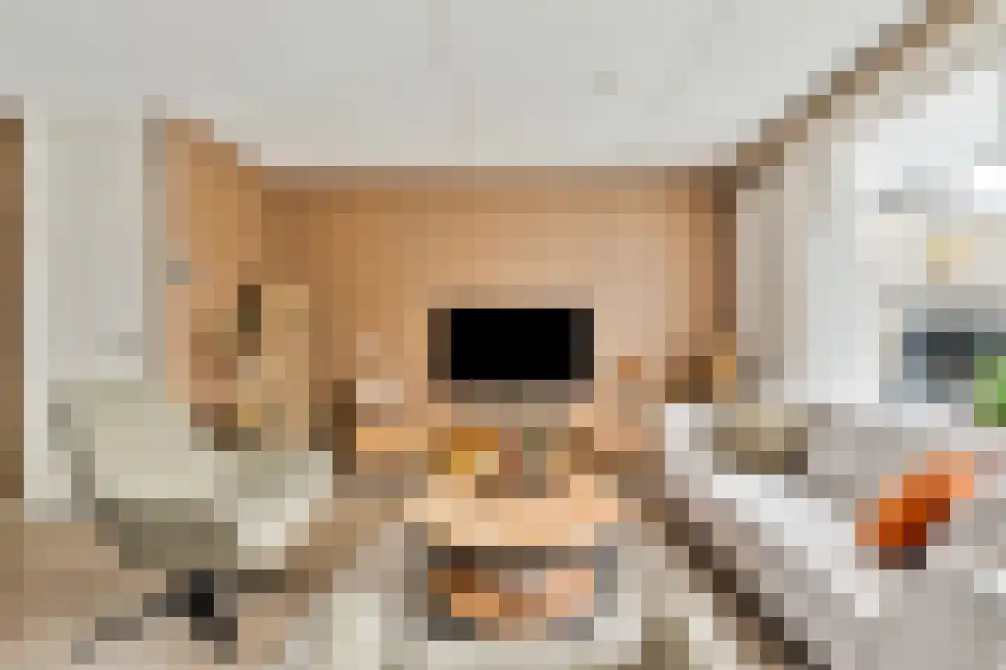 Kruidenlaan 124 Venray thumbnail 4