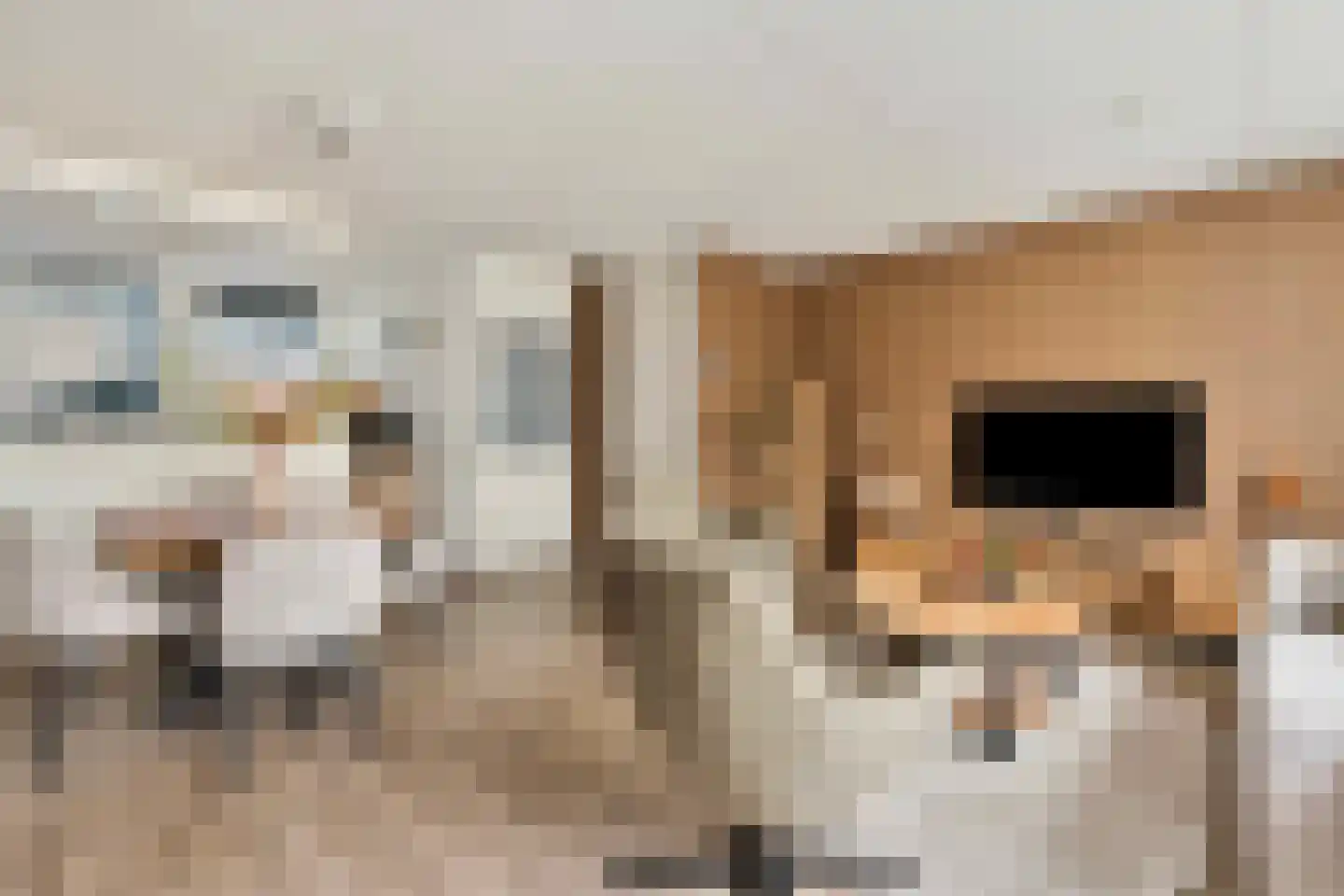 Kruidenlaan 124 Venray thumbnail 5