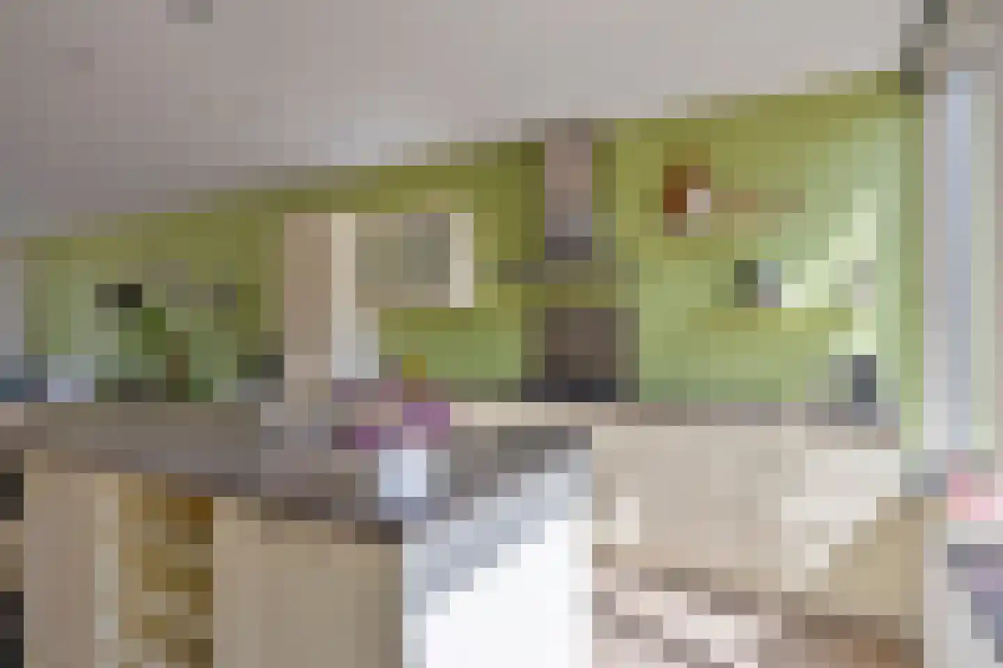 Kruidenlaan 129 Tilburg thumbnail 10