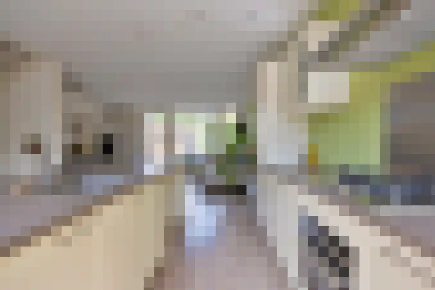 Kruidenlaan 129 Tilburg thumbnail 12