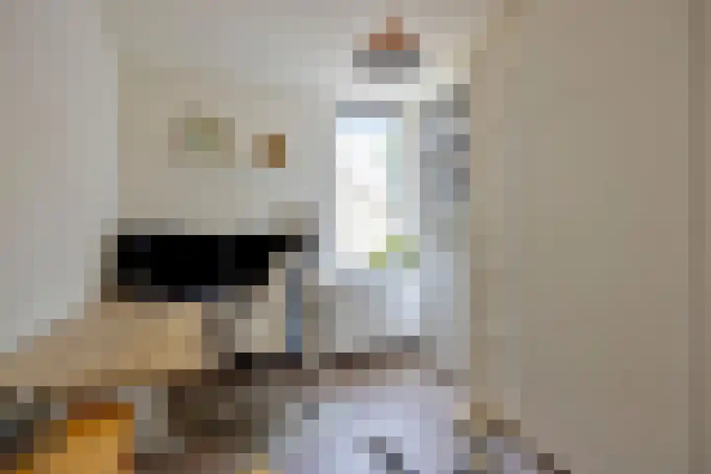 Kruidenlaan 129 Tilburg thumbnail 21