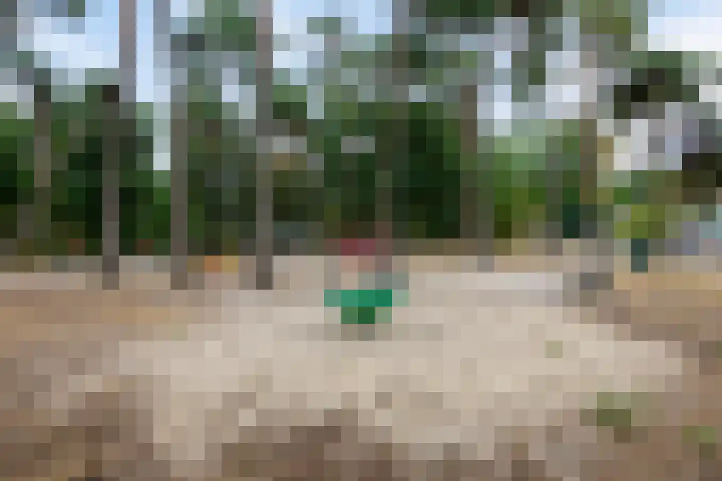 Kruidenlaan 129 Tilburg thumbnail 31