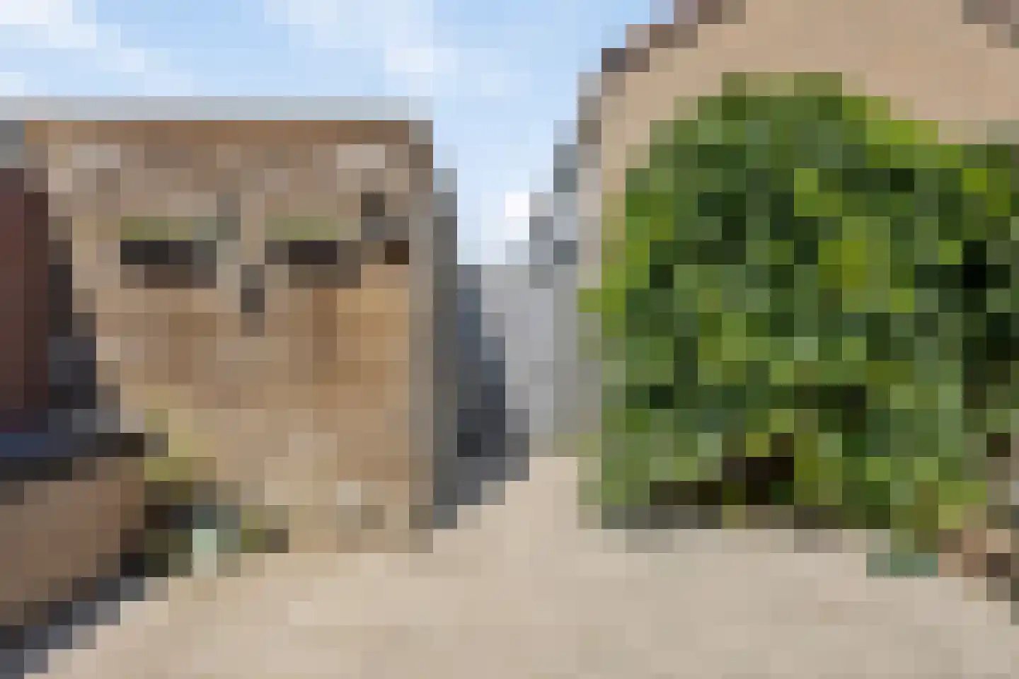 Kruidenlaan 129 Tilburg thumbnail 4