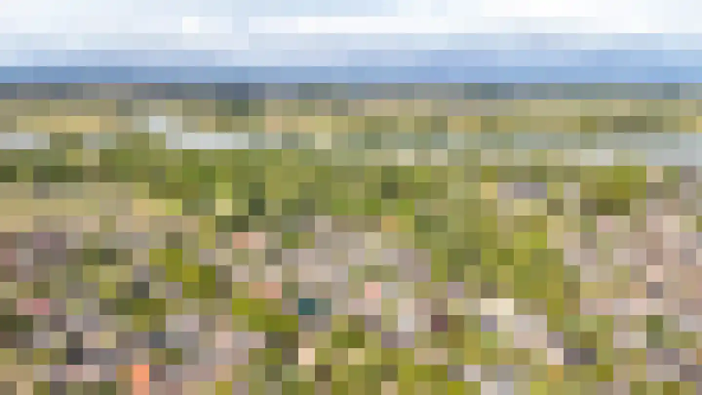 Kruidenlaan 13 Kerkdriel thumbnail 4