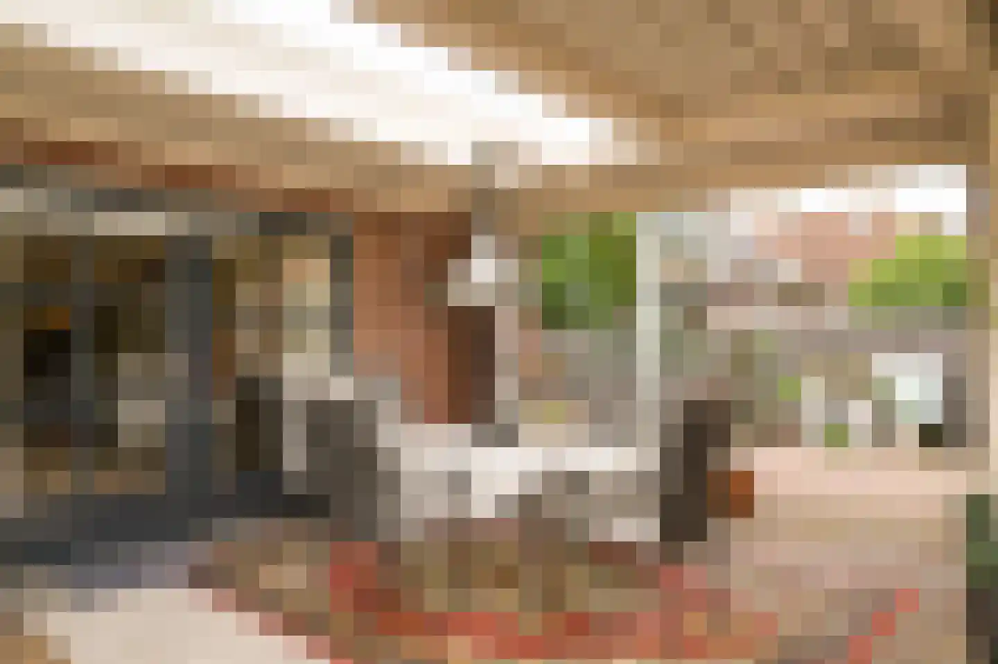 Kruidenlaan 13 Kerkdriel thumbnail 47
