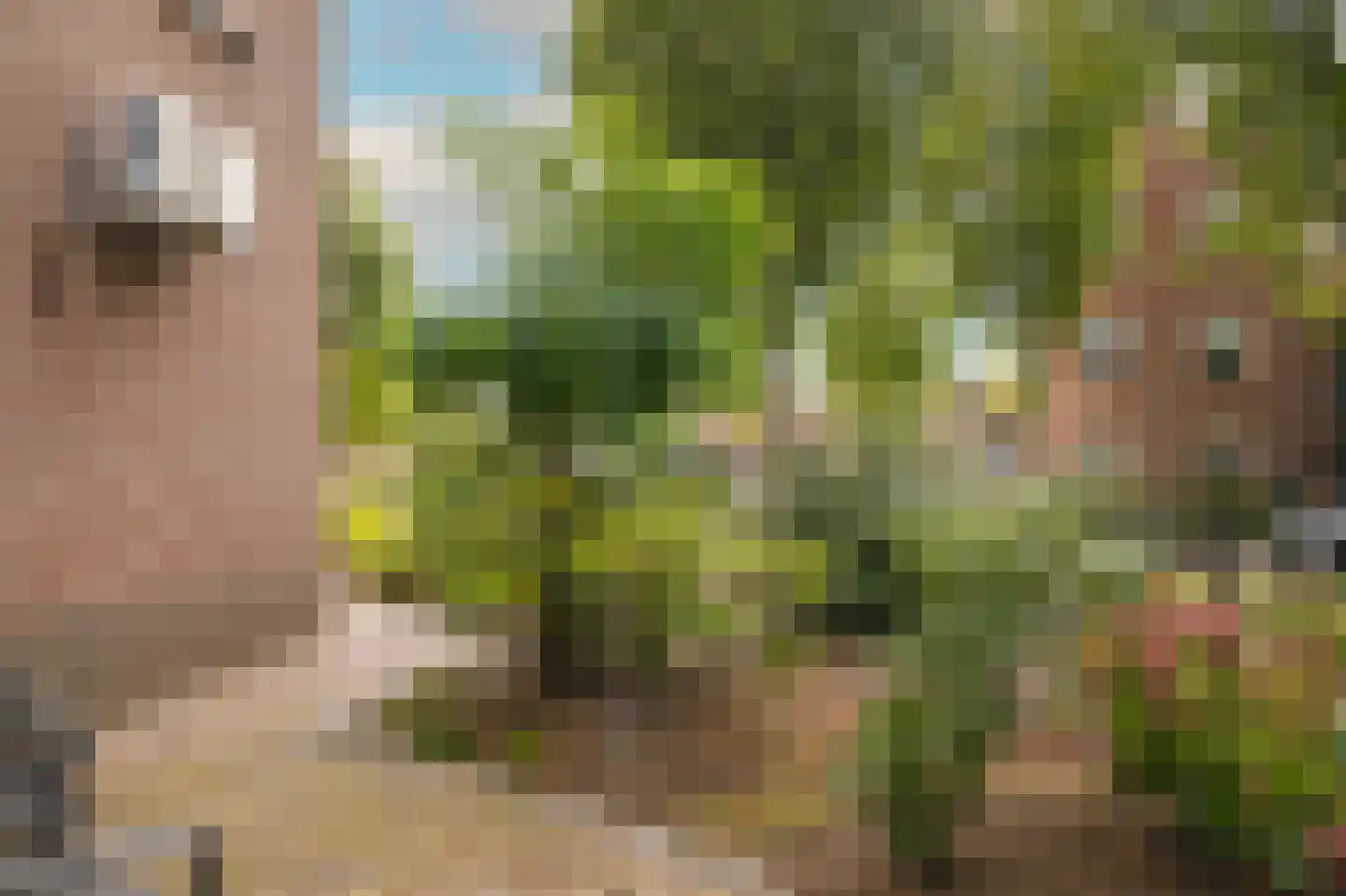Kruidenlaan 13 Kerkdriel thumbnail 56