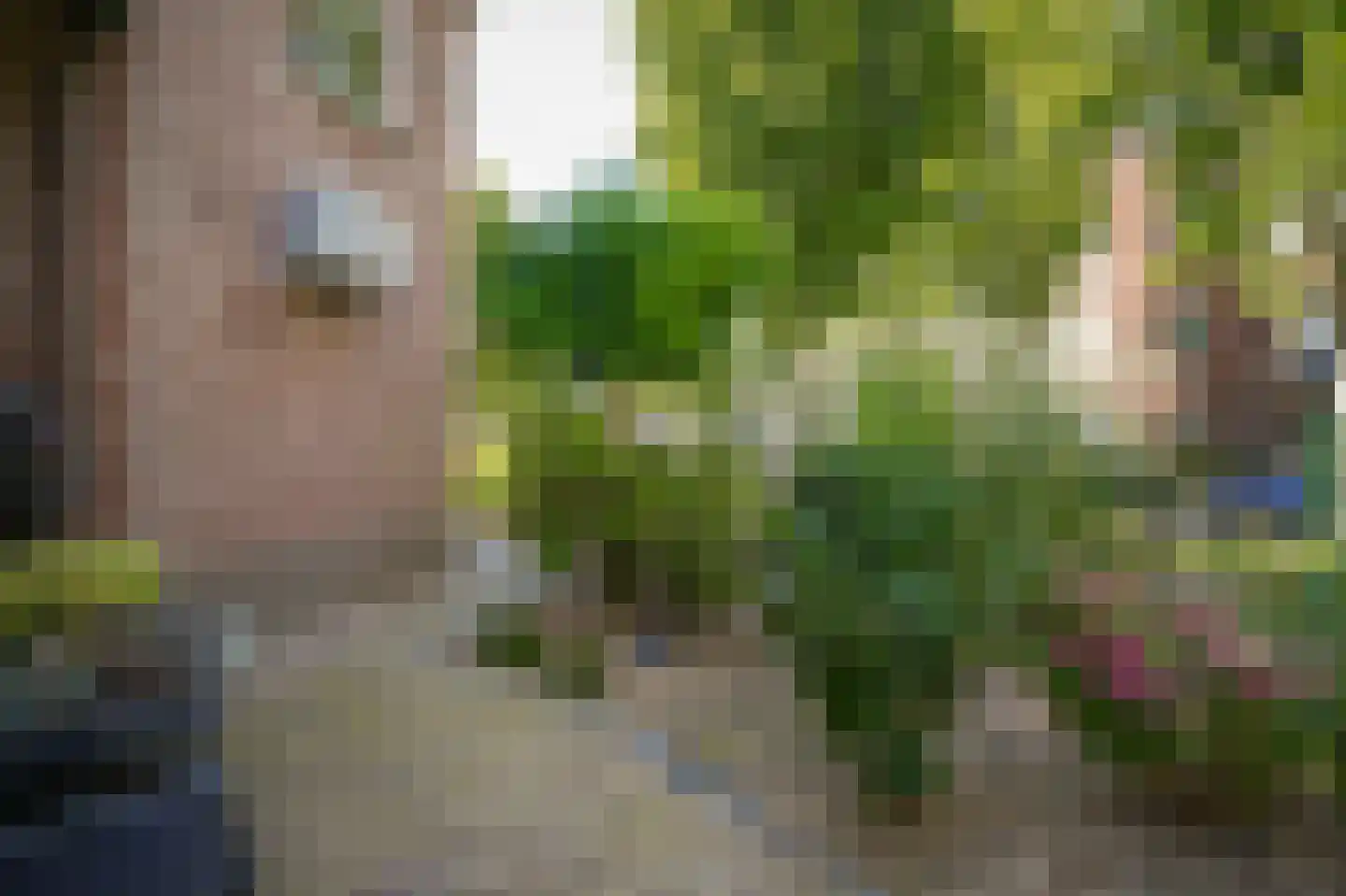 Kruidenlaan 13 Kerkdriel thumbnail 68