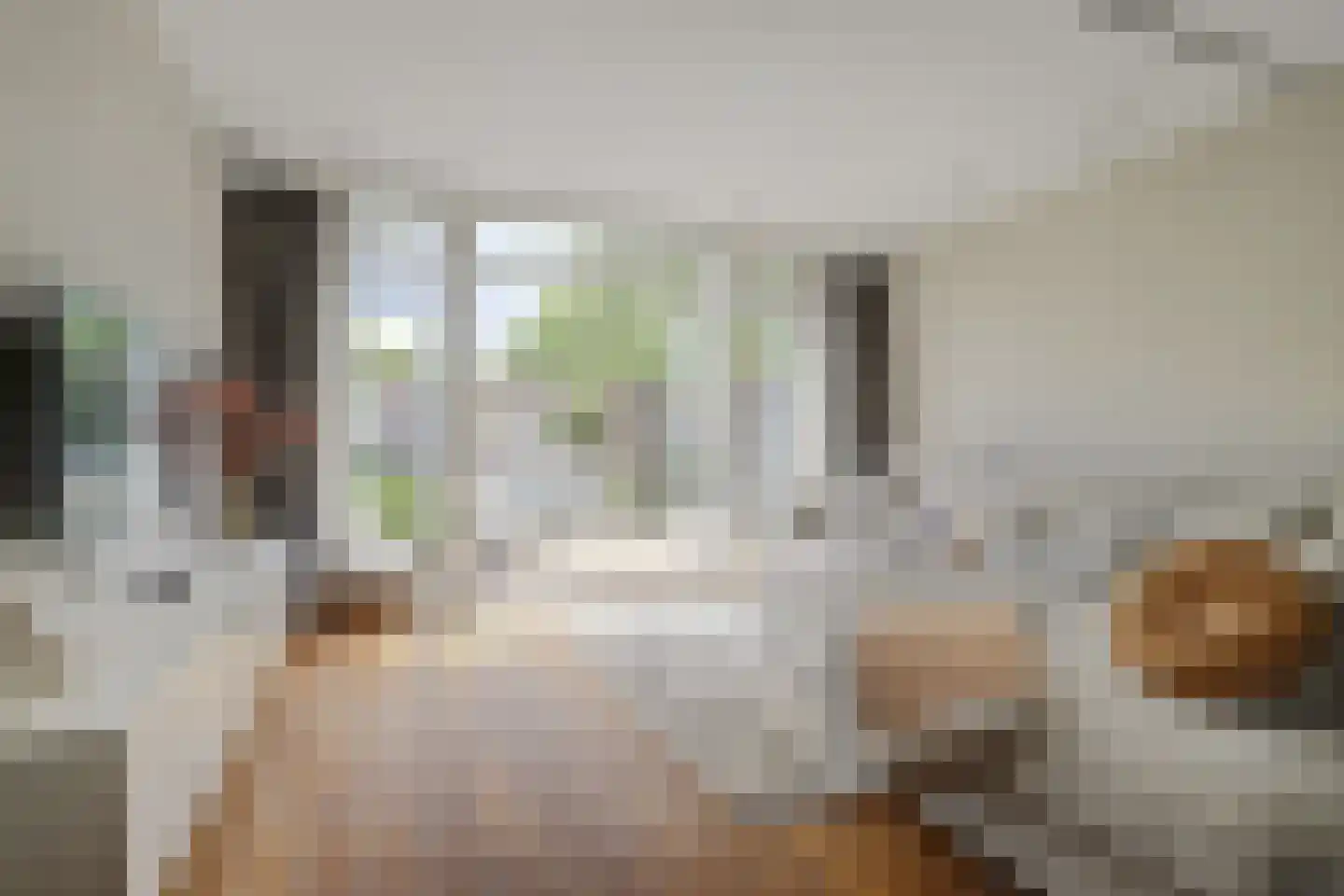 Kruidenlaan 14 Oosterhout thumbnail 12