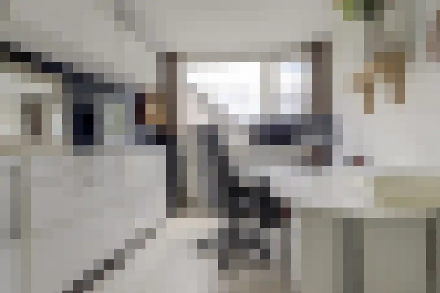 Kruidenlaan 14 Oosterhout thumbnail 26
