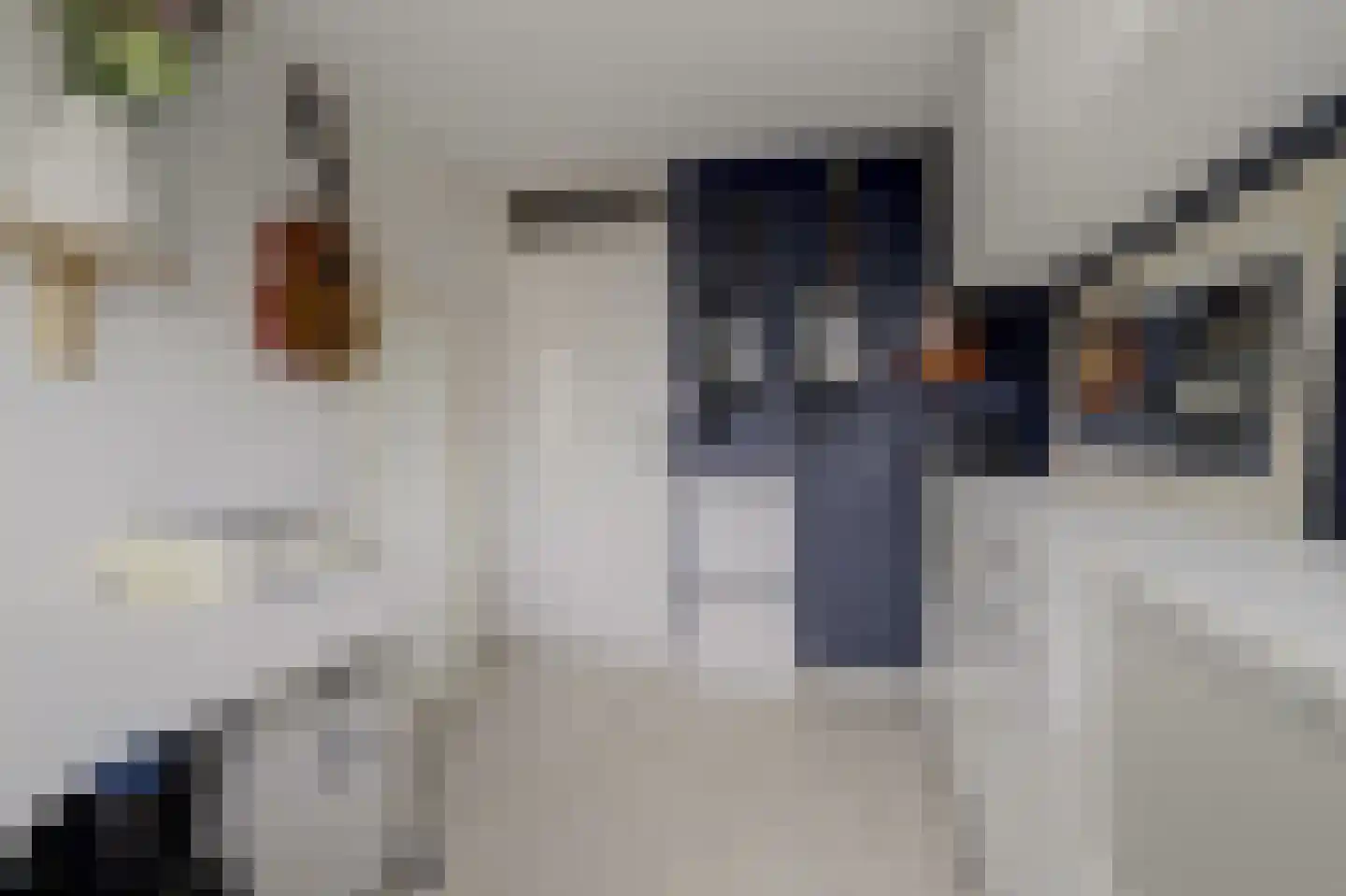 Kruidenlaan 14 Oosterhout thumbnail 28