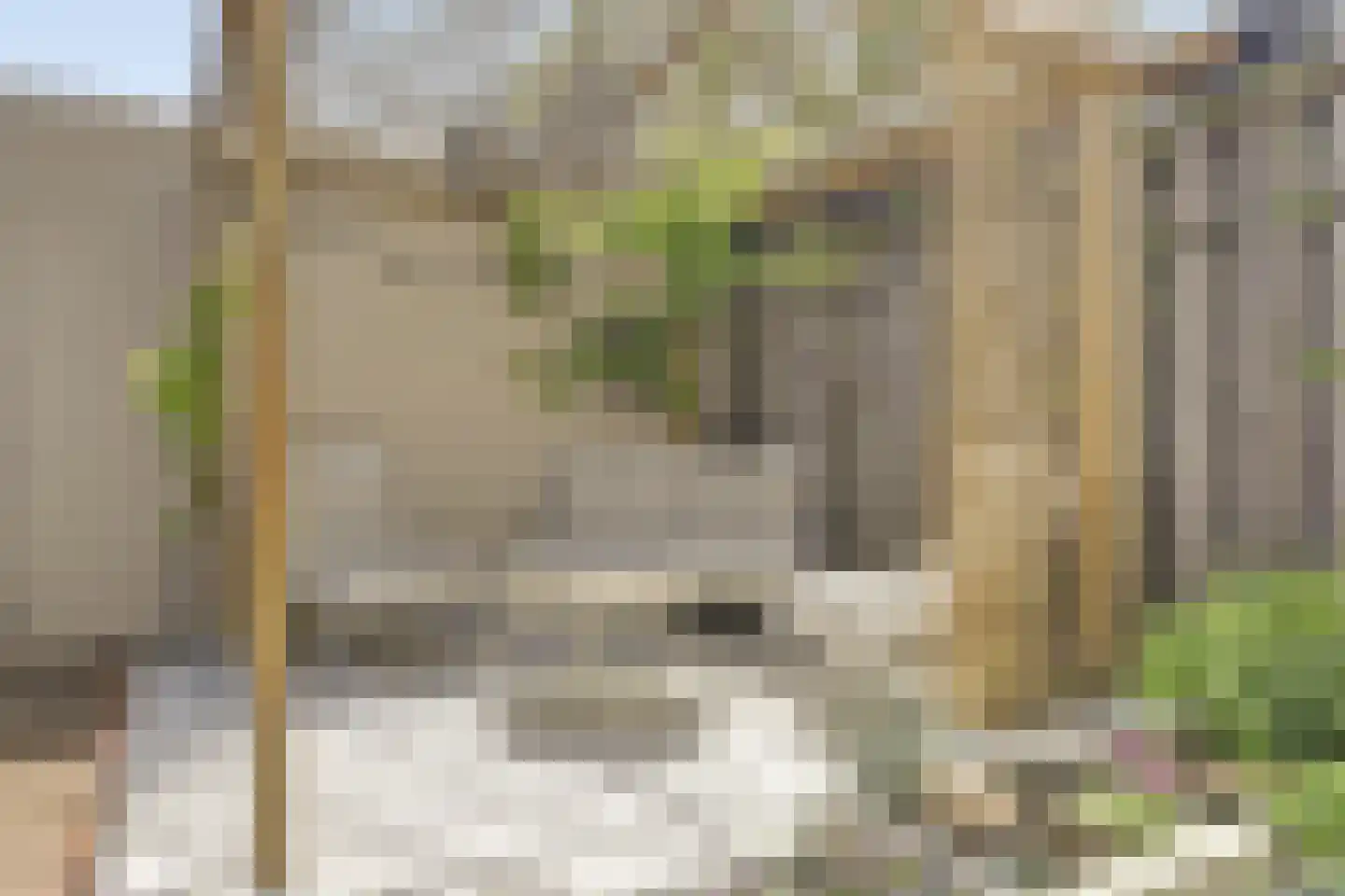 Kruidenlaan 14 Oosterhout thumbnail 35