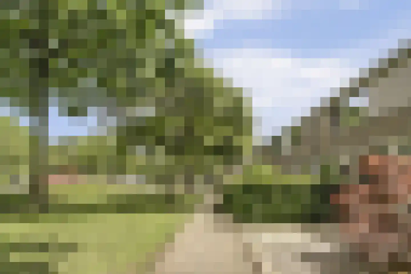 Kruidenlaan 14 Oosterhout thumbnail 6