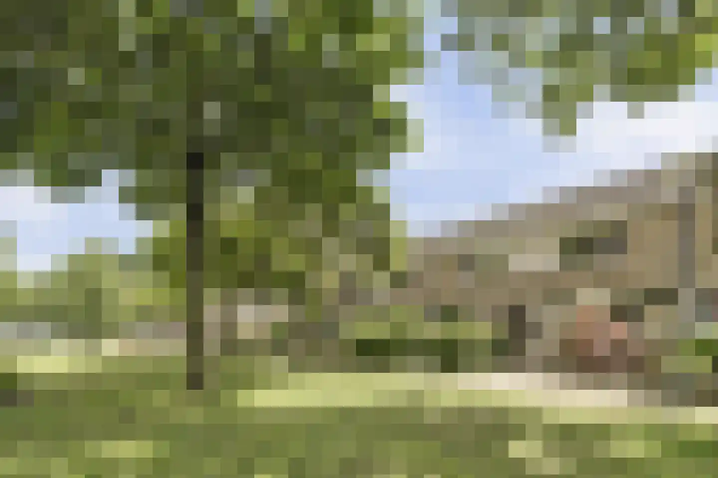 Kruidenlaan 14 Oosterhout thumbnail 8