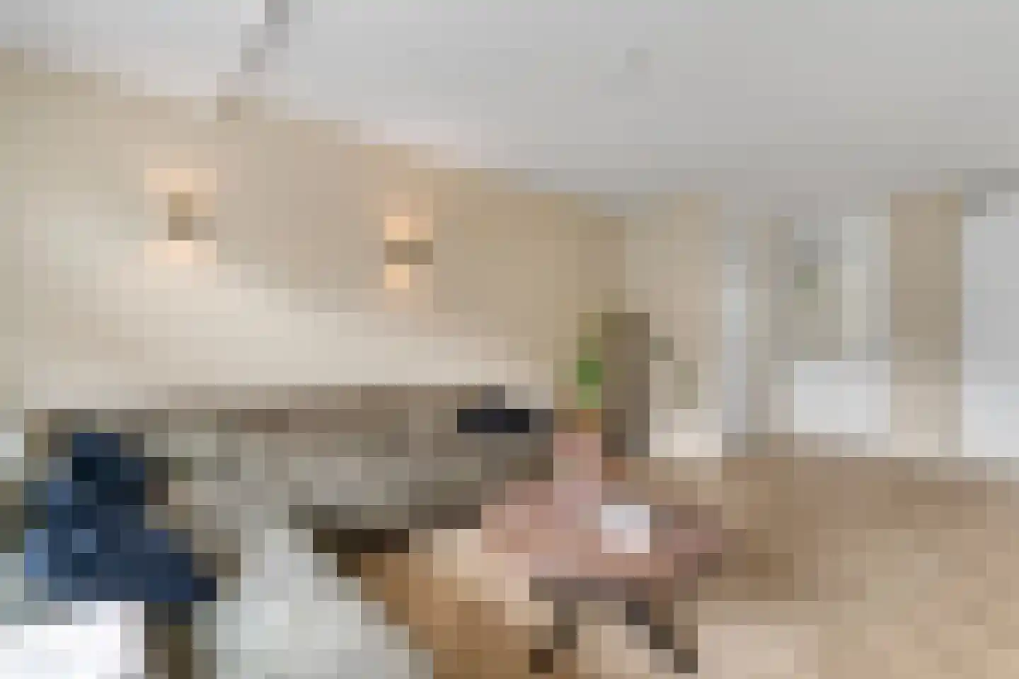 Kruidenlaan 144 Nijverdal thumbnail 7