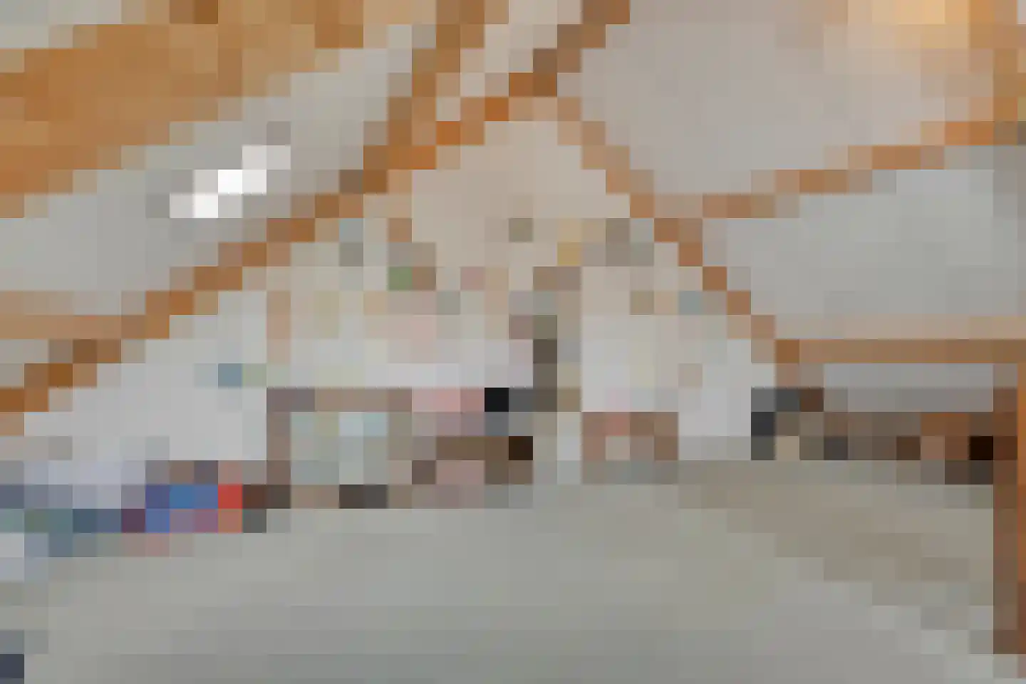 Kruidenlaan 145 Nijverdal thumbnail 25