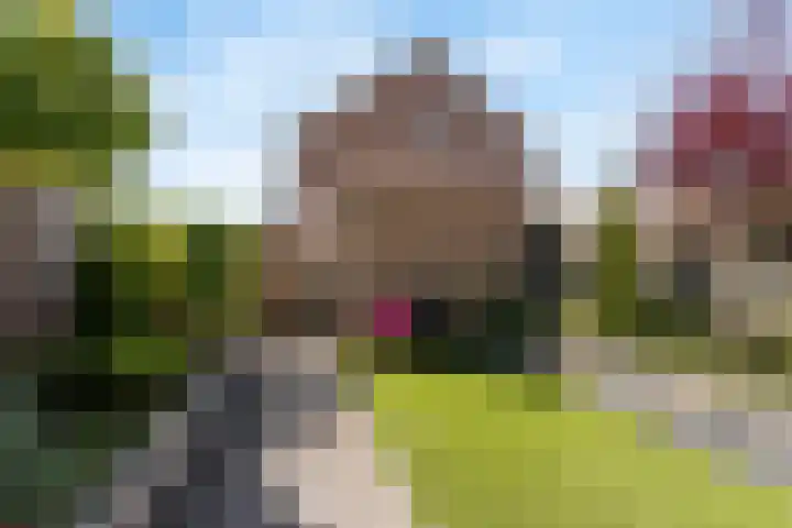 Kruidenlaan 146 Nijverdal thumbnail 15