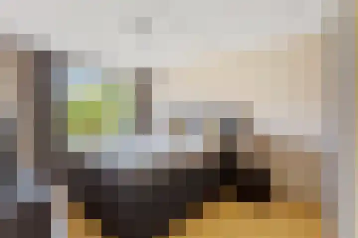 Kruidenlaan 146 Nijverdal thumbnail 8