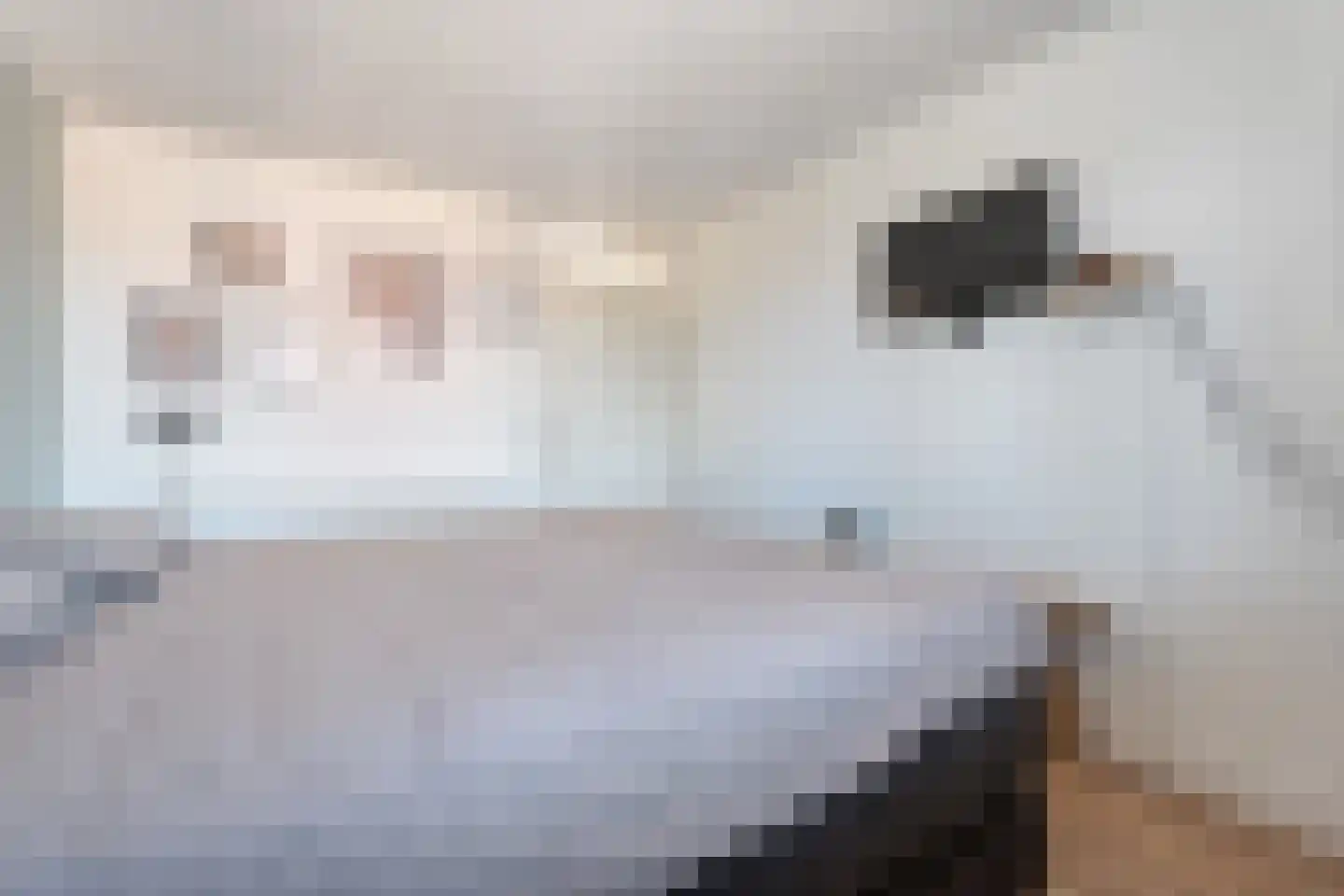 Kruidenlaan 147 Nijverdal thumbnail 21