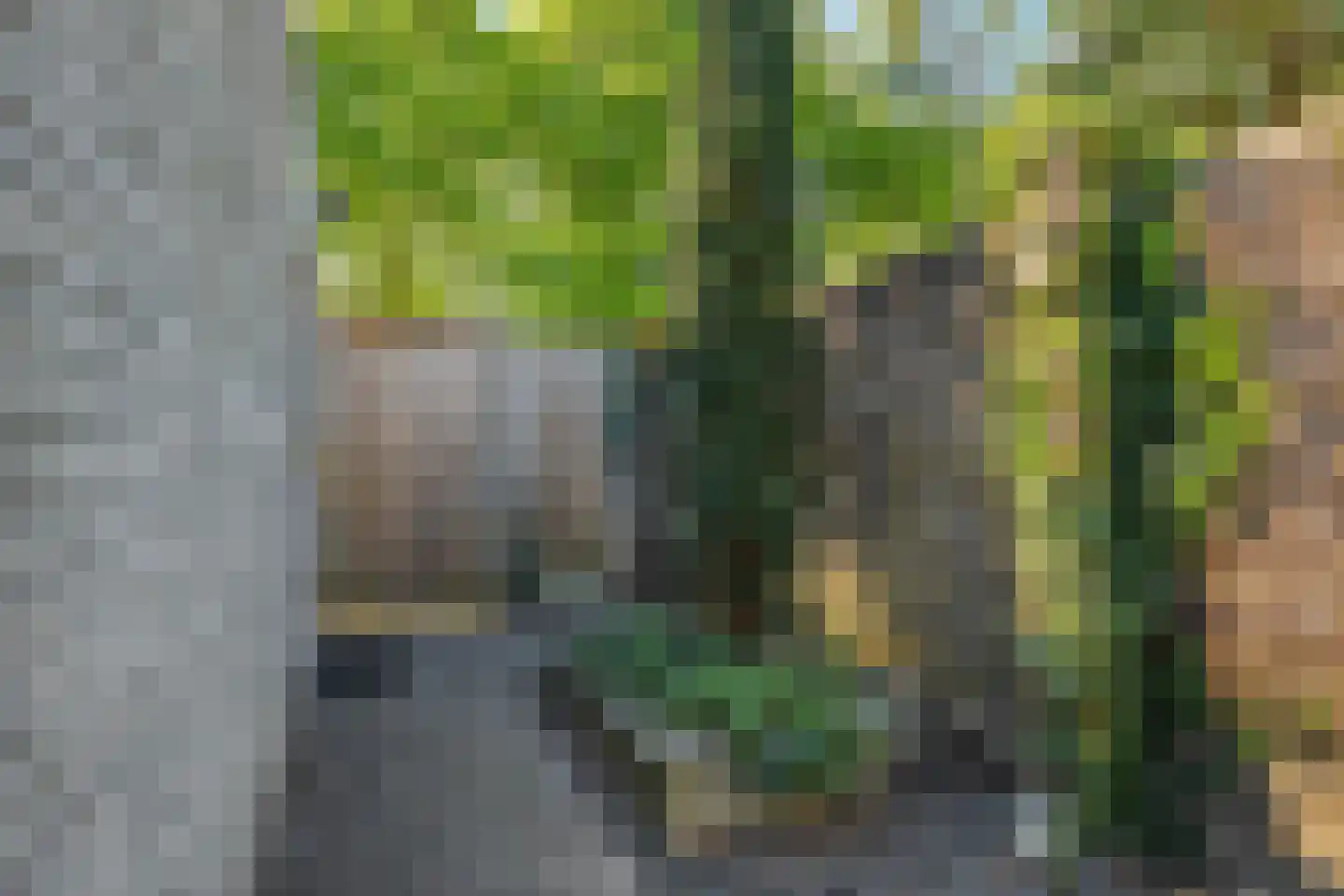 Kruidenlaan 147 Nijverdal thumbnail 38