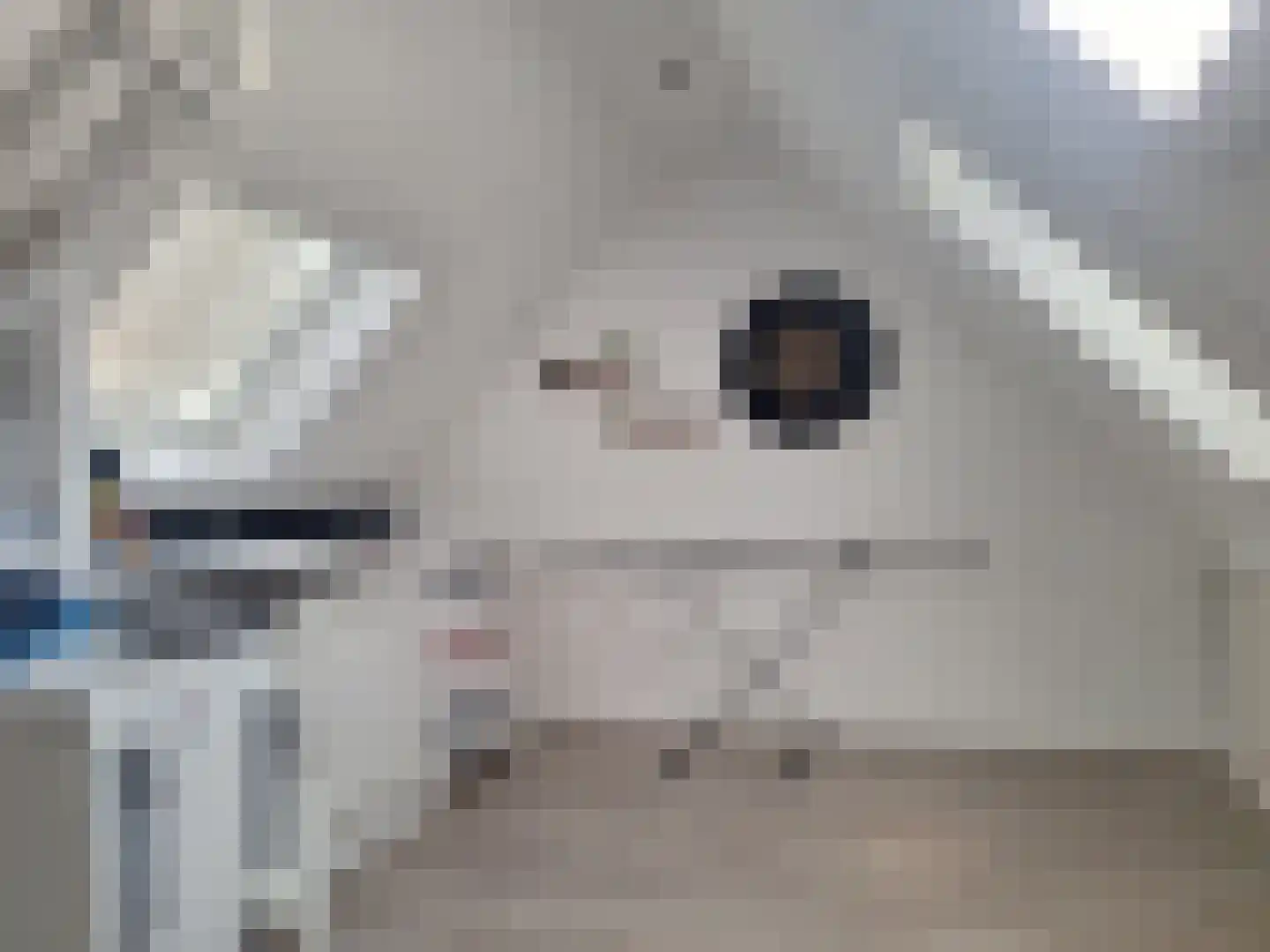 Kruidenlaan 15 Nijverdal thumbnail 12