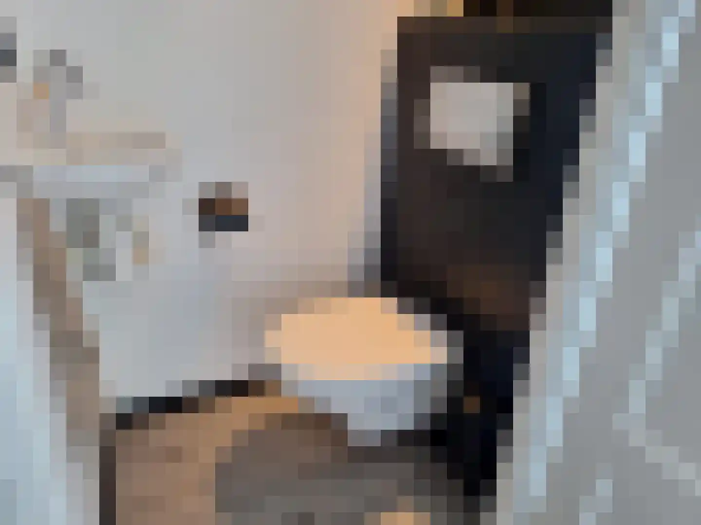 Kruidenlaan 15 Nijverdal thumbnail 5