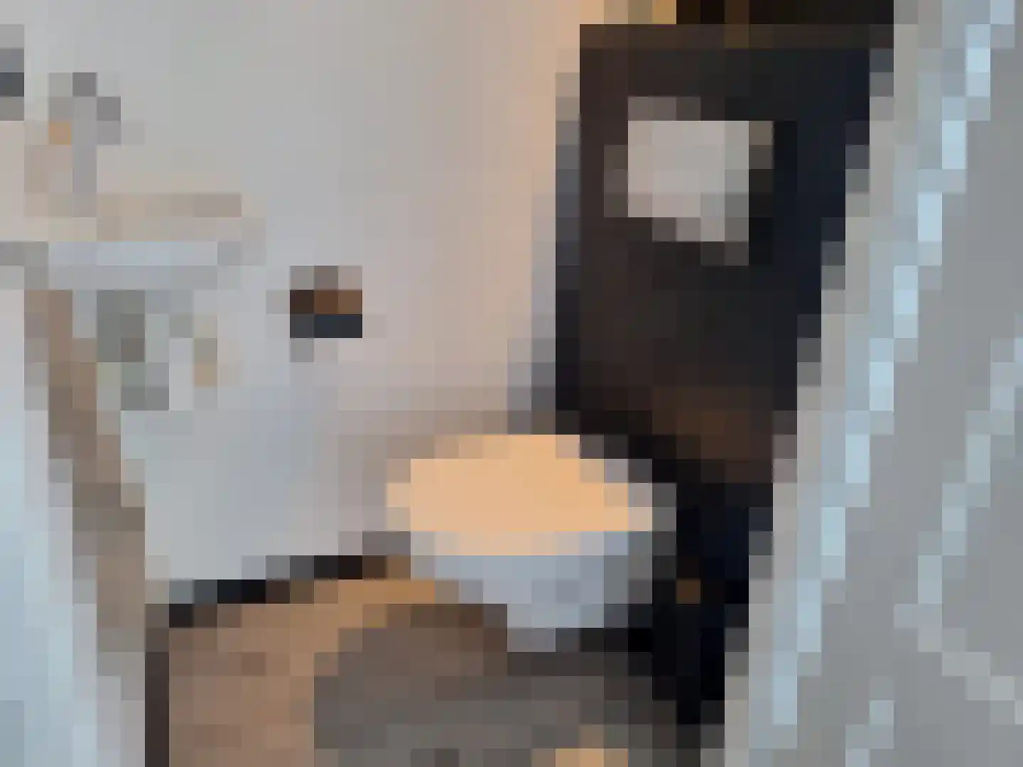 Kruidenlaan 15 Nijverdal thumbnail 5