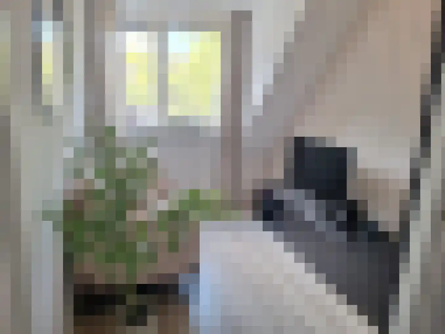 Kruidenlaan 15 Nijverdal thumbnail 9
