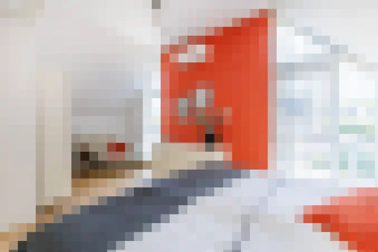 Kruidenlaan 159 Doetinchem thumbnail 42