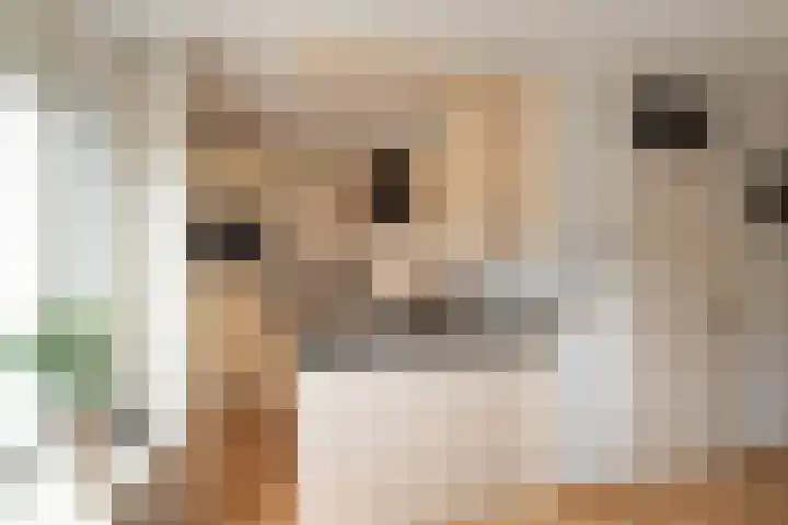 Kruidenlaan 159 Nijverdal thumbnail 10