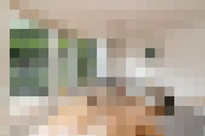 Kruidenlaan 159 Nijverdal thumbnail 13