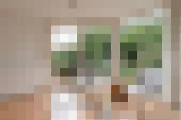 Kruidenlaan 159 Nijverdal thumbnail 14
