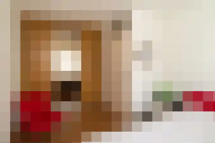 Kruidenlaan 159 Nijverdal thumbnail 20