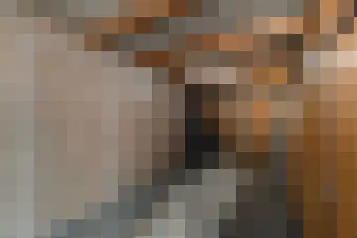 Kruidenlaan 159 Nijverdal thumbnail 32