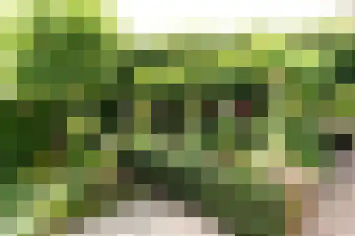 Kruidenlaan 159 Nijverdal thumbnail 36