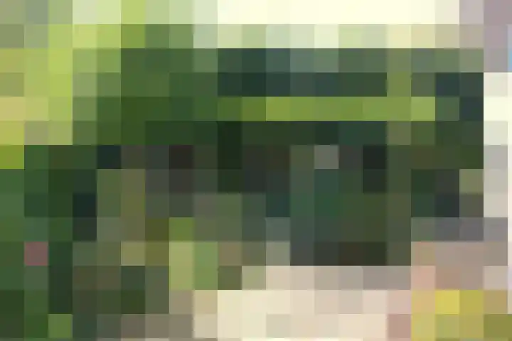 Kruidenlaan 159 Nijverdal thumbnail 37