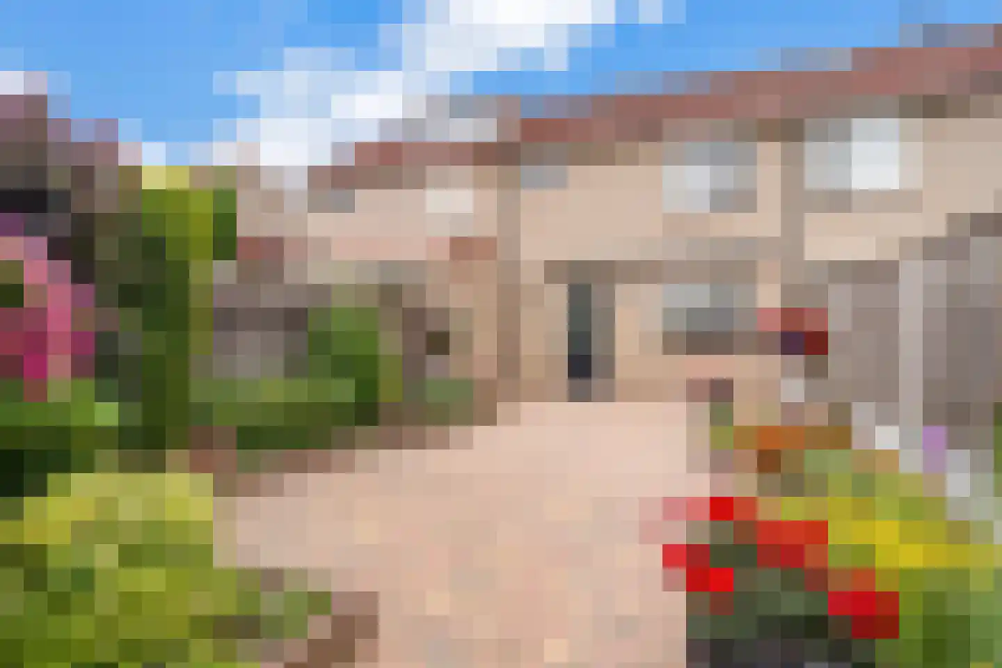 Kruidenlaan 162 Nijverdal thumbnail 25