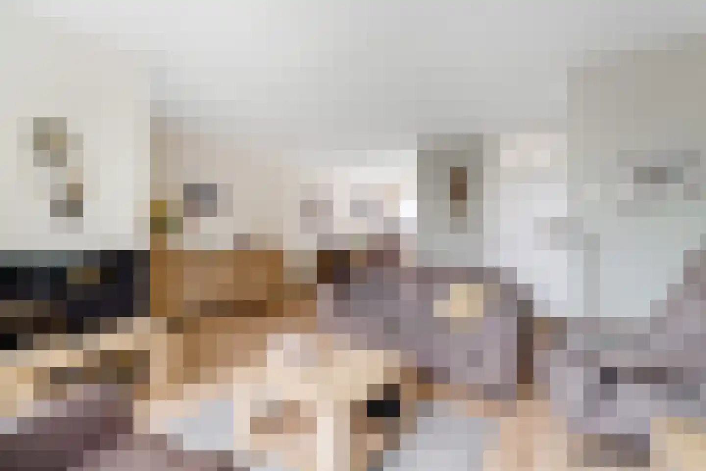 Kruidenlaan 162 Nijverdal thumbnail 5