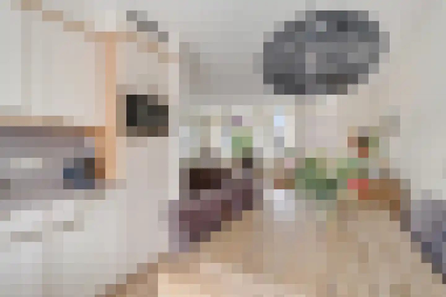 Kruidenlaan 162 Nijverdal thumbnail 9