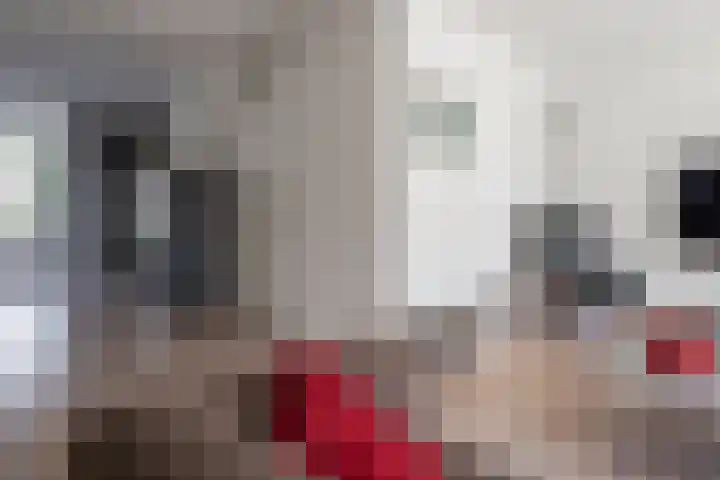 Kruidenlaan 166 Nijverdal thumbnail 12