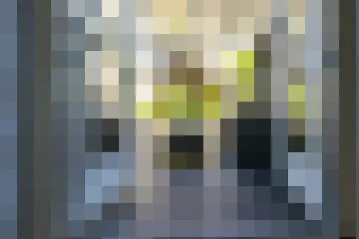 Kruidenlaan 166 Nijverdal thumbnail 16