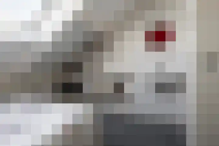 Kruidenlaan 166 Nijverdal thumbnail 33