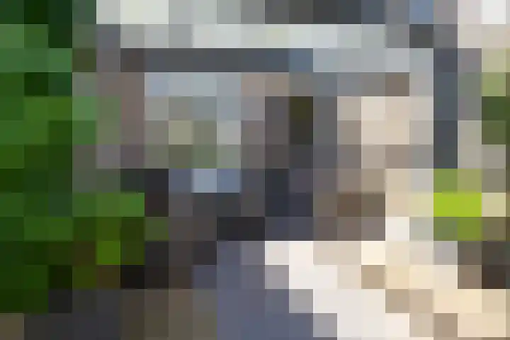 Kruidenlaan 166 Nijverdal thumbnail 34