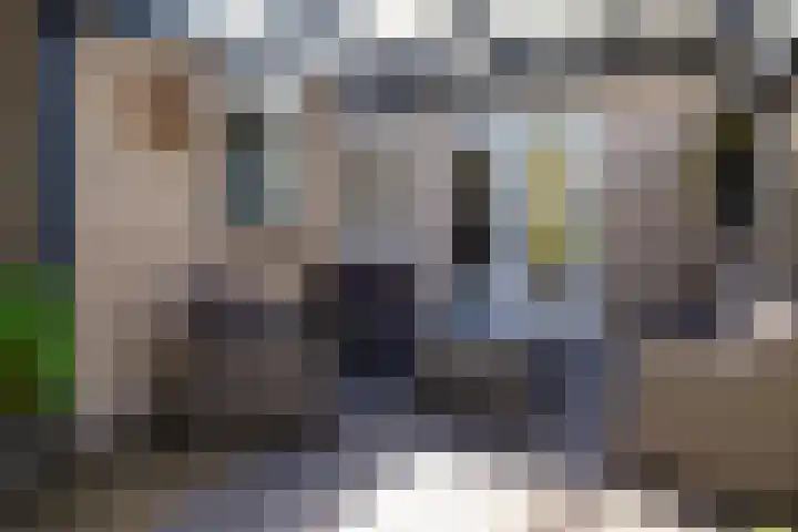Kruidenlaan 166 Nijverdal thumbnail 35