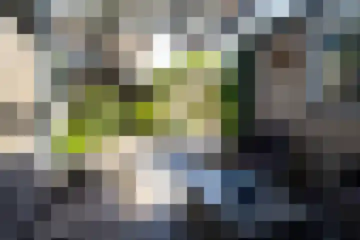 Kruidenlaan 166 Nijverdal thumbnail 36